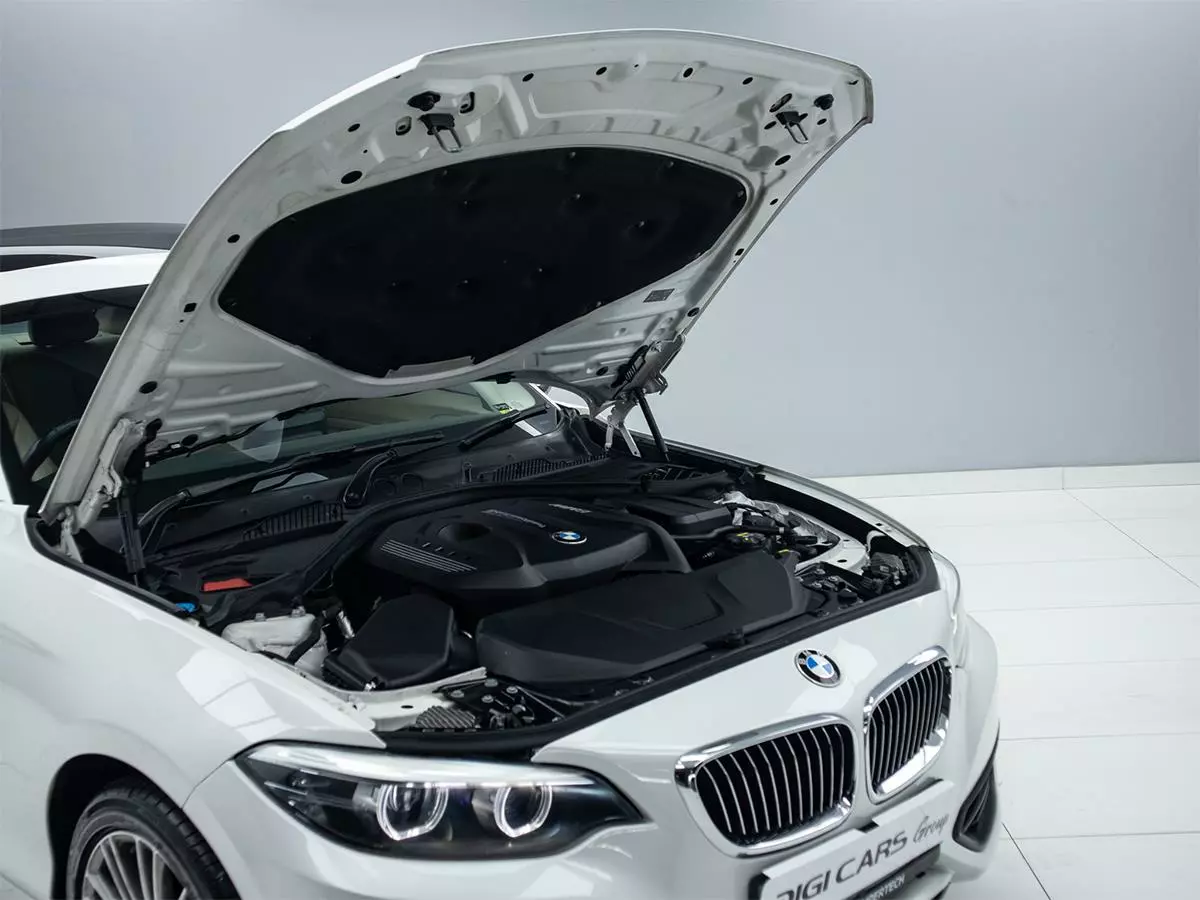 Vehicle Image for 8/17for BMW 2 Series 220i Coupe Luxury Auto